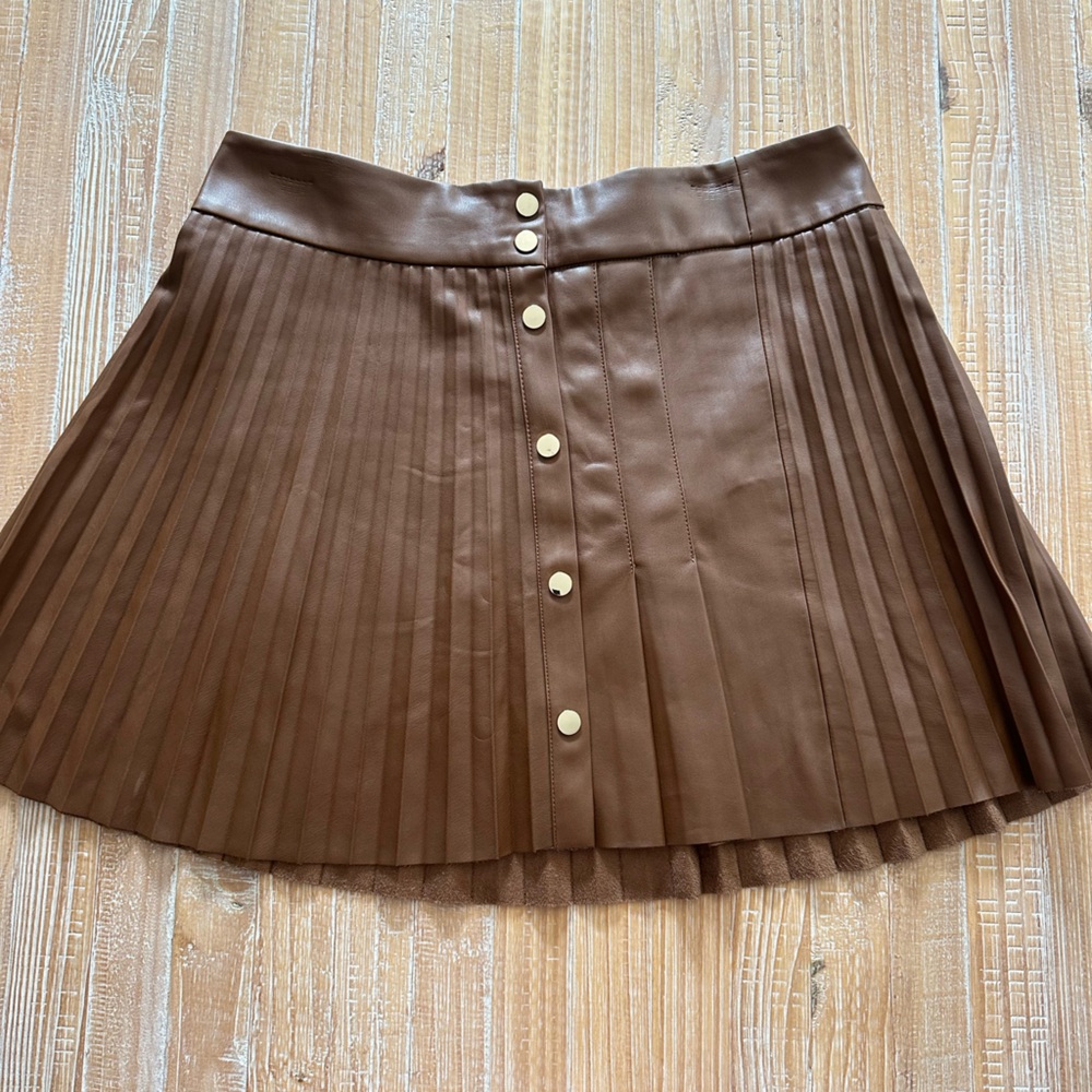 Zara Brown Skater Skirt with Gold Buttons